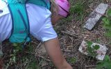 IMG-20171019-WA0017