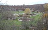 IMG-20171119-WA0019
