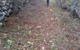 IMG-20171119-WA0036