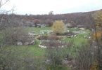 IMG-20171119-WA0019