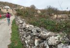 IMG-20171119-WA0020