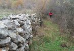 IMG-20171119-WA0032