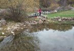 IMG-20171119-WA0044