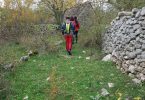 IMG-20171119-WA0060