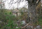 IMG-20171119-WA0063